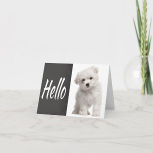 Cartão de Nota de Lousa com Cachorro Branco da Raç
