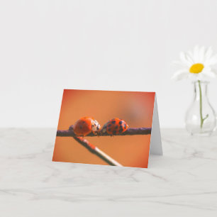 Cartão de Nota de Natureza de Amigos Ladybug