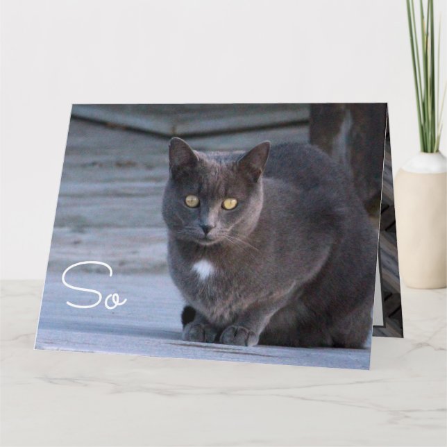 Cartão de Nota de Papel Olá (Frente)