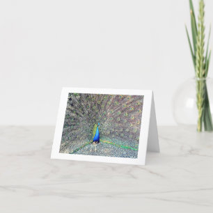 Cartão de Nota de Peacock