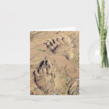 Cartão de Nota de Pegadas do Urso Pardo do Alasca