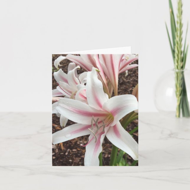 cartão de nota de primavera nº 2 (Frente)