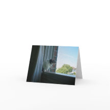 Cartão de Nota de Rato Contemplante "Queria Estar 