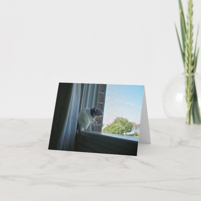 Cartão de Nota de Rato Contemplante "Queria Estar  (Frente)