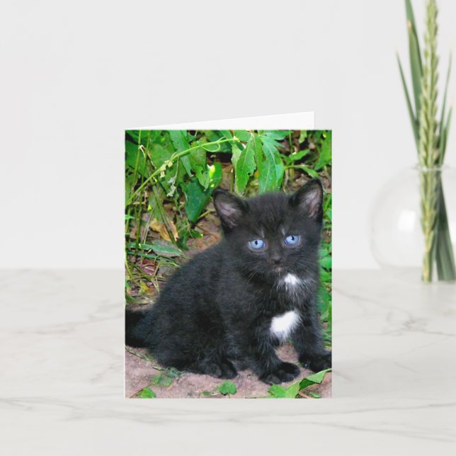 Cartão de nota de Sassa (Frente)