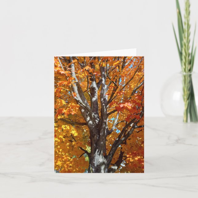 Cartão de Nota de Sombras da Árvore de Outono (Frente)