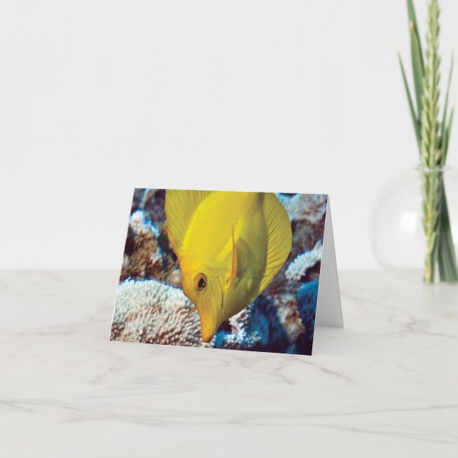 Cartão de nota de TangEssence (Frente)