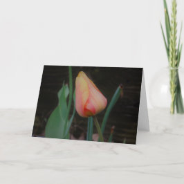 Cartão de Nota de Tulipa Única