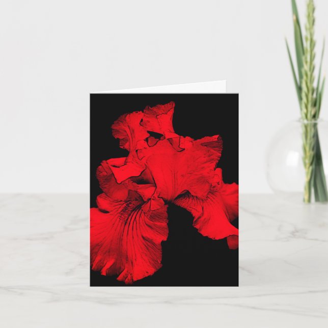 Cartão de Nota de Vazio de Arte Flor Red Hot Iris (Frente)
