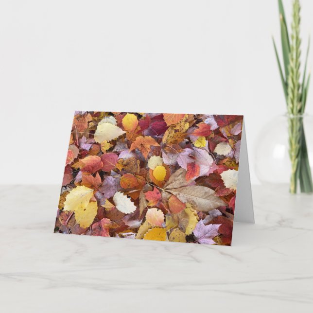 Cartão de Nota de Vazio de Folhas de Outono (Frente)