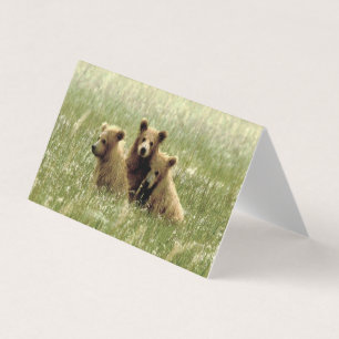 Cartão de nota de vazio dobrado de urso pardo e fi