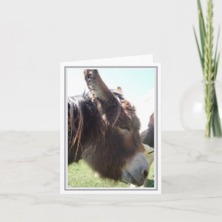 Cartão de Nota de Vazio Donkey