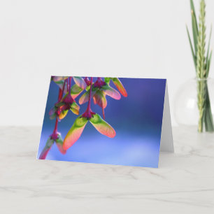 Cartão de Nota de Vazio Helicópteros de Mapeamento