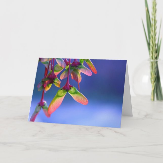 Cartão de Nota de Vazio Helicópteros de Mapeamento (Frente)