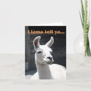 Cartão de Nota de Vazio Llama Sorrente "Llama Tell