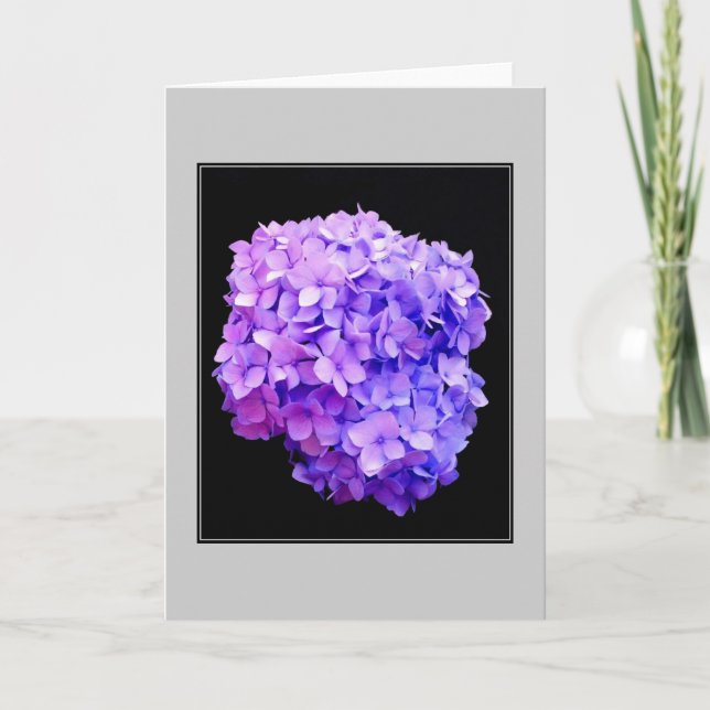 Cartão de Nota de Vazio 'Roxo Hydrangea Bloom' (Frente)
