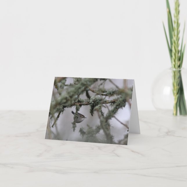 Cartão de Nota de Vazio Wren e musculoso de Bewick (Frente)