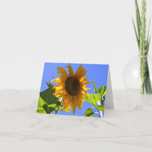 Cartão de Nota de Verão de Girassol Amarelo e Ab