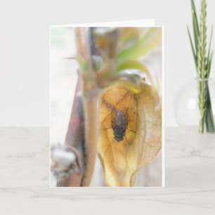 Cartão de Nota de Voo Goodnight