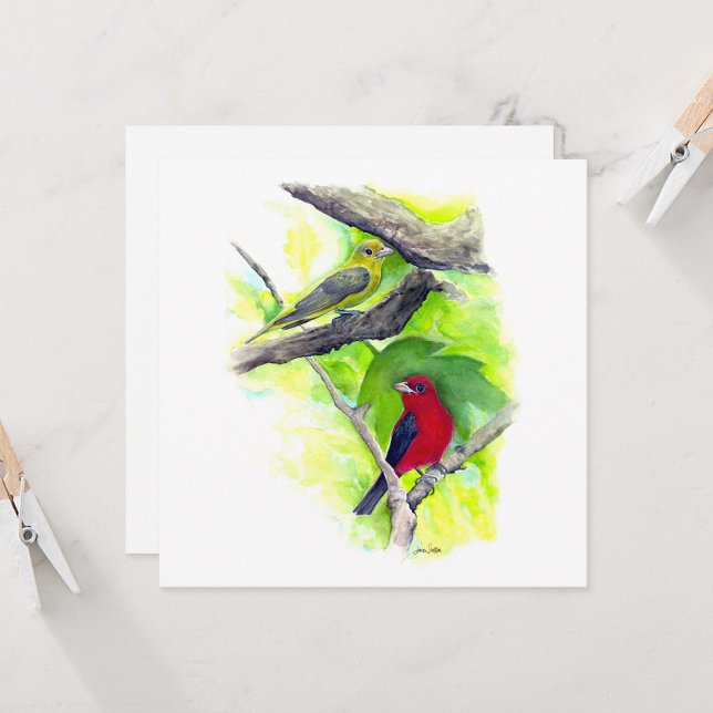 Cartão de Nota do Casal de Tanager Escarlate (Scarlet Tanager Couple In Tree Watercolor Square Blank Note Cards from Jenn Steffen Art)
