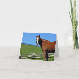 Cartão de nota do cavalo