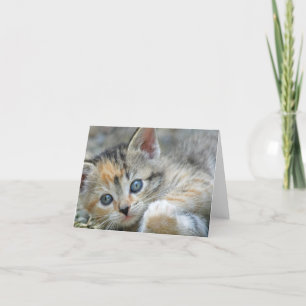Cartão de nota do gatinho