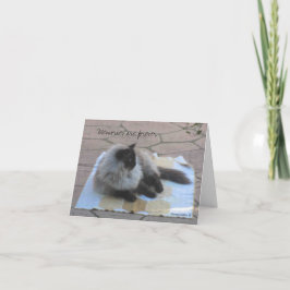 Cartão de nota do gato das memórias