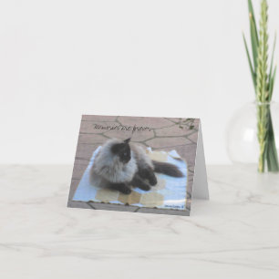 Cartão de nota do gato das memórias