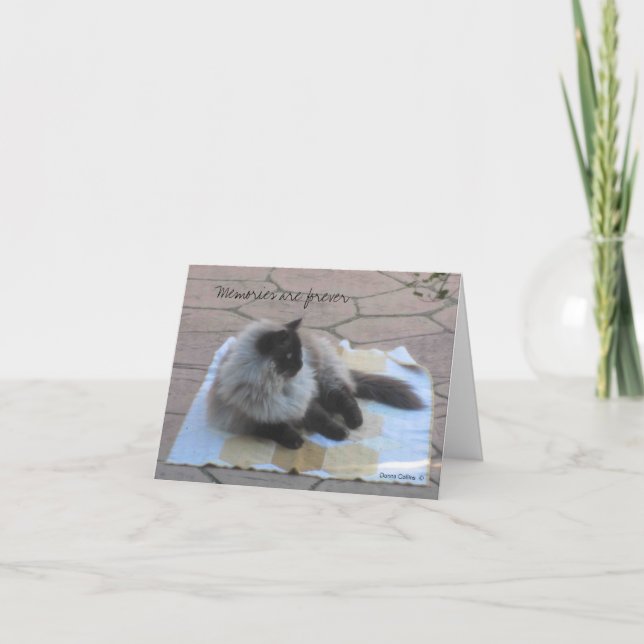 Cartão de nota do gato das memórias (Frente)