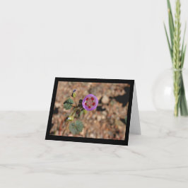 Cartão de nota do ponto do deserto cinco