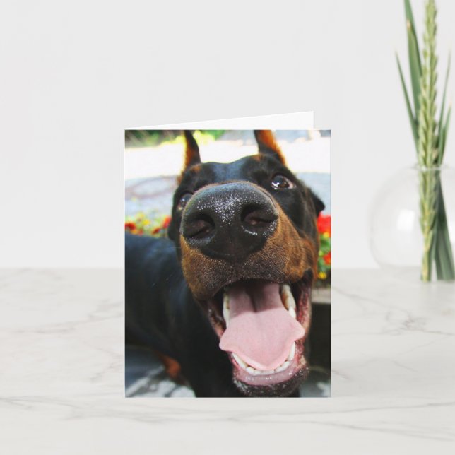 Cartão de Nota Doberman (Frente)
