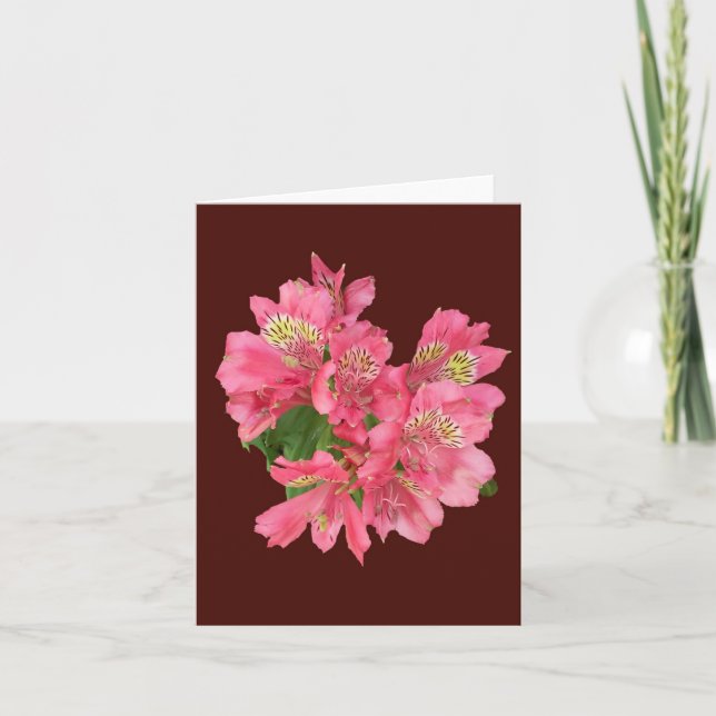 Cartão de Nota Dobrada de Foto Alstroemeria Rosa (Frente)