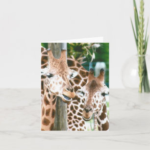 Cartão de Nota Dobrada de Foto Giraffe