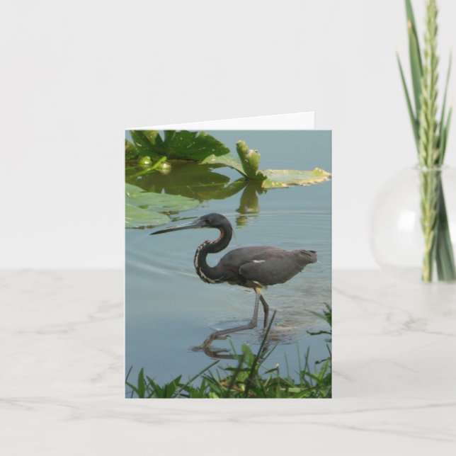 Cartão de Nota Dobrada de Foto Heron Azul (Frente)