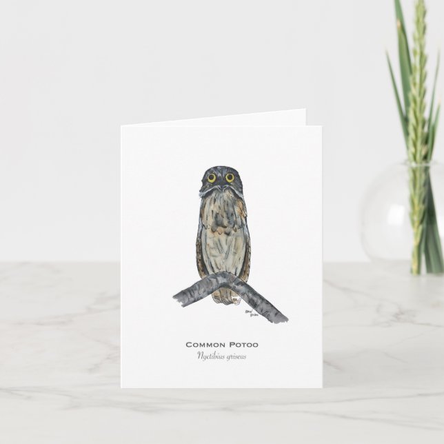 Cartão de Nota Dobrada de Pássaro Poto (Frente)