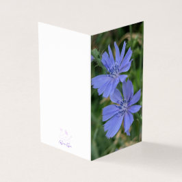 Cartão de Nota Dobrada Flor de Chicória