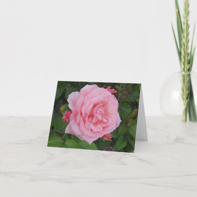 Cartão de Nota Dobrada Flor de Rosa Rosa Clássica (Frente)