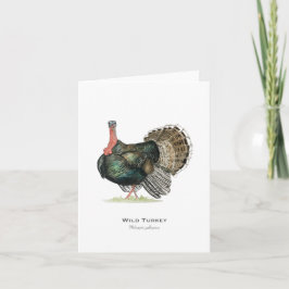 Cartão de Nota Dobrado Wild Turkey