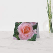 Cartão de Nota Dobrável de Fotografia de Arte Fin