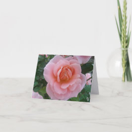 Cartão de Nota Dobrável de Fotografia de Arte Fin