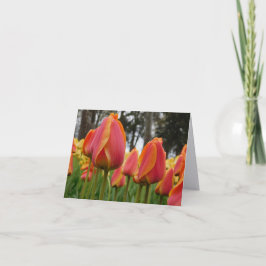 Cartão de Nota Dobrável de Fotografia de Arte Fina