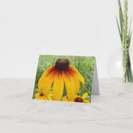 Cartão de Nota Dobrável de Fotografia de Arte Fina