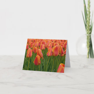 Cartão de Nota Dobrável de Fotografia de Arte Fina
