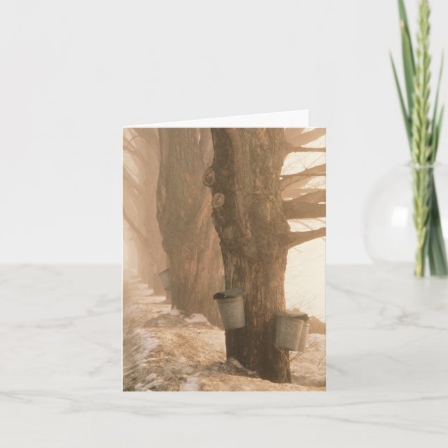 Cartão de nota dos baldes da seiva (Frente)