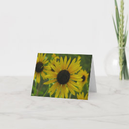 Cartão de nota dos girassóis/cartão selvagens 1