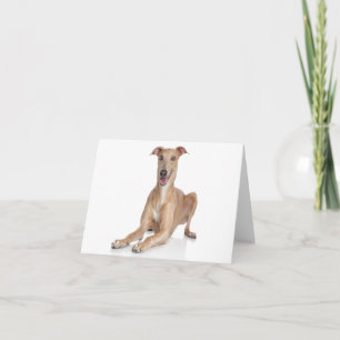 Cartão de Nota em Branco de Cachorrinho Italian Gr