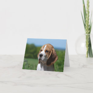 Cartão de Nota em Branco de Cachorro Beagle Filhot