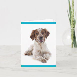 Cartão de Nota em Branco de Cachorro Filhote Britt