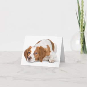 Cartão de Nota em Branco de Cachorro Filhote Britt