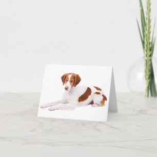 Cartão de Nota em Branco de Cachorro Filhote Britt